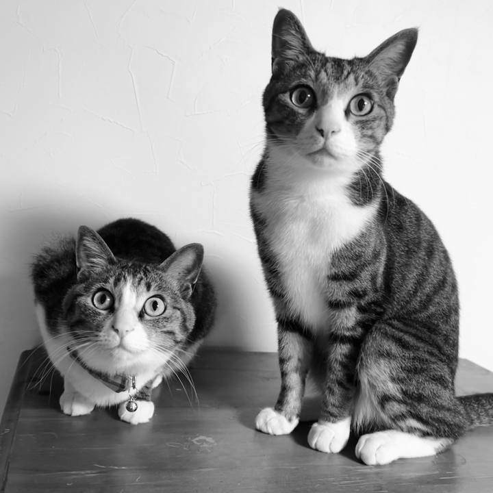 E974cedf bd6b 4b11 8def 2972d91b893c 1757484618620