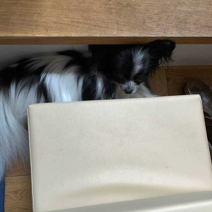 E974d8b9 dc8a 42bc 844f 88a1ae8bf197 1559541152348