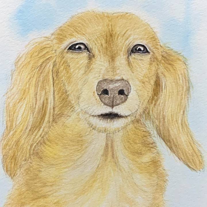 E974fe48 6321 48ef a1ec 774445f0d3b2 1698659277680