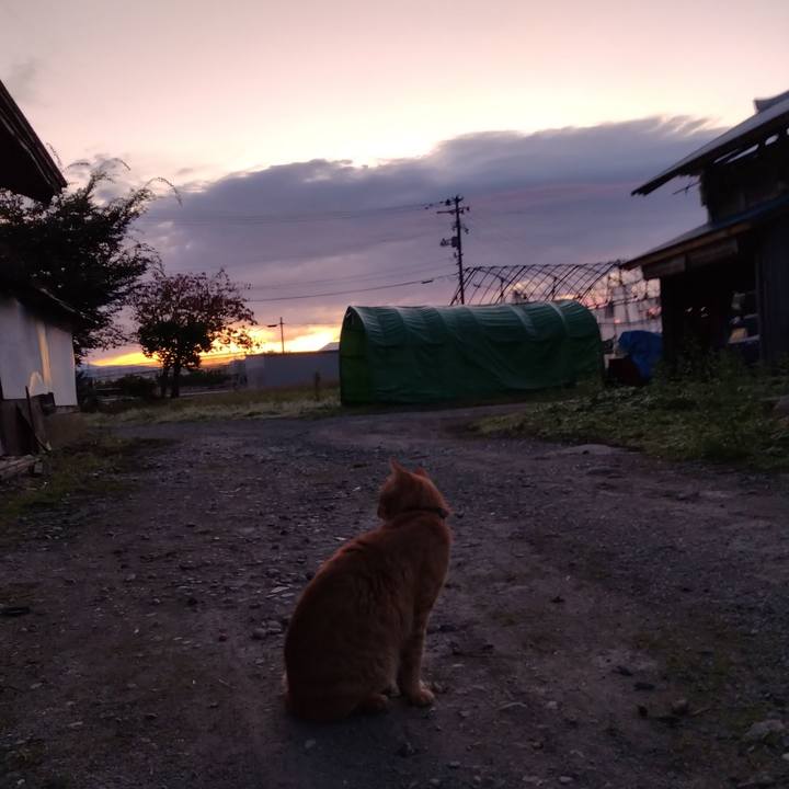 E97504de 70a2 4253 99cd 6e569e069f64 1666387405112