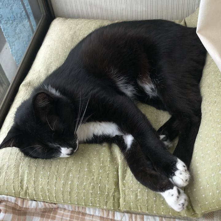 E9751455 d507 4f40 9410 2c6411092b25 1663644972586