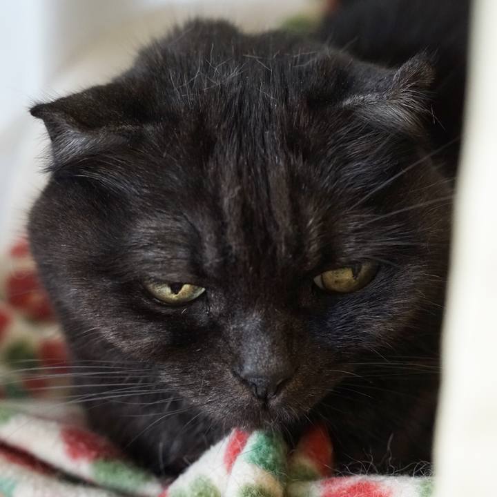 E9751ad4 ef1c 4a93 8eff 2fe23d6f8b86 1577433509388