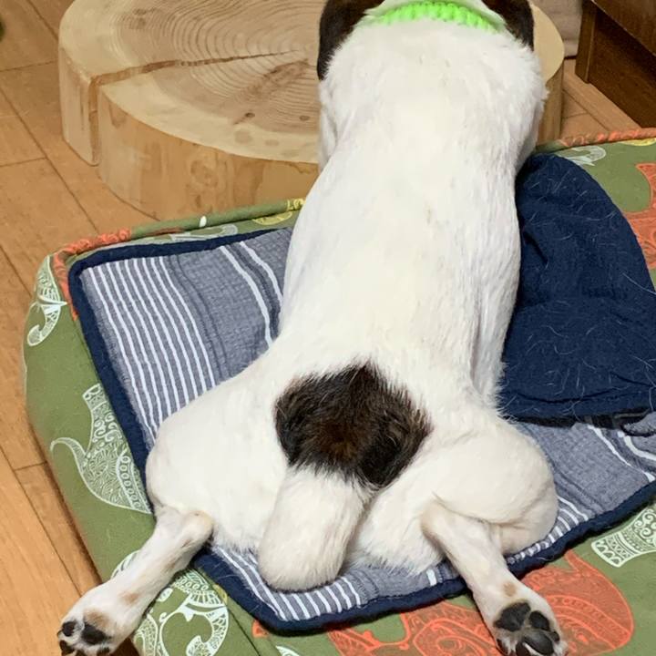 E9752245 0136 409a a5b6 25f32e45446a 1621142152859