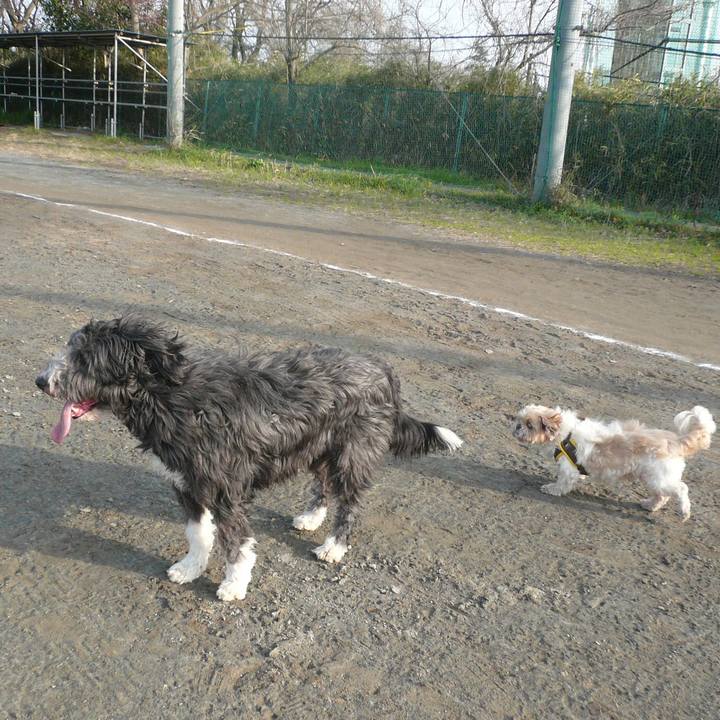 E9752884 eb29 4256 ae02 e677f27077dd 1520328022567