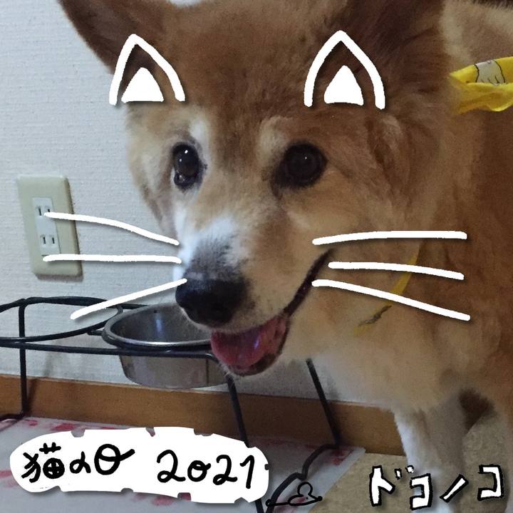 E975402c 7860 45a8 b2be 6347f9c85cd3 1613993571787