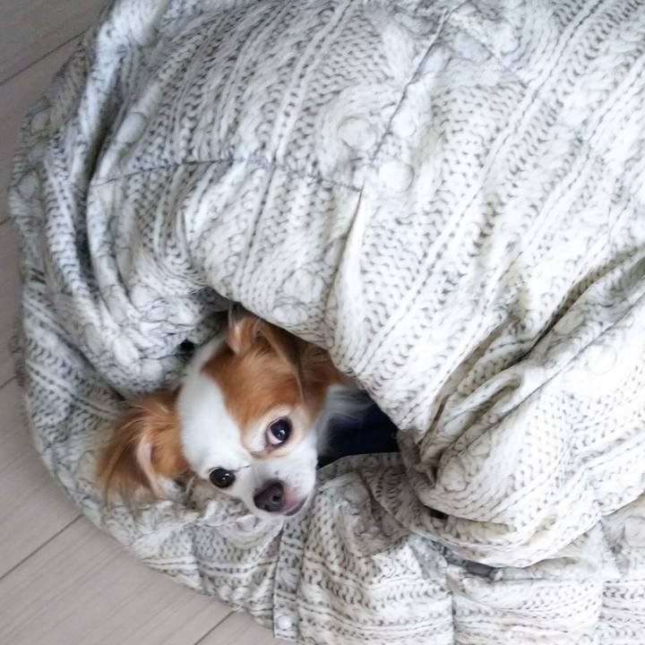 E9757cbd 1553 4316 b339 0203b391e768 1537930276905