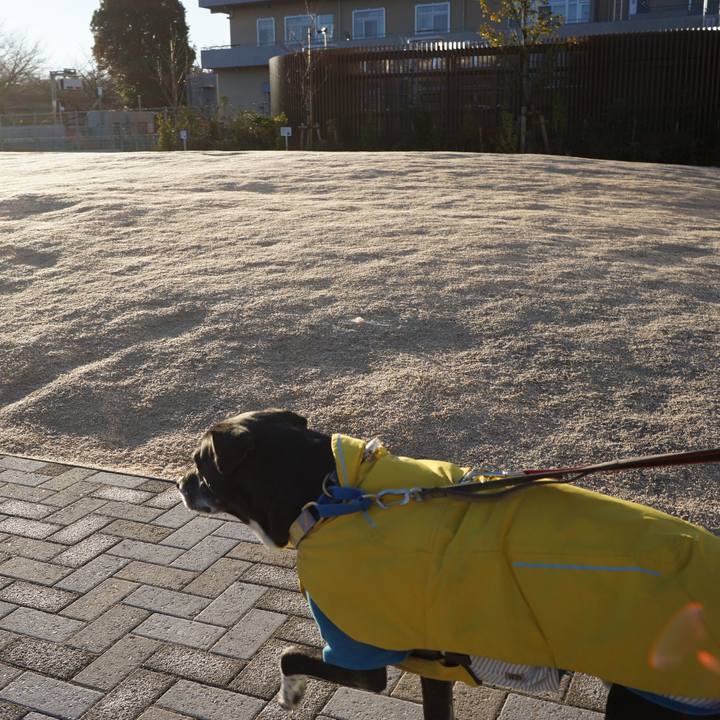 E975ac79 31ce 4955 8115 329b87311339 1767401111495