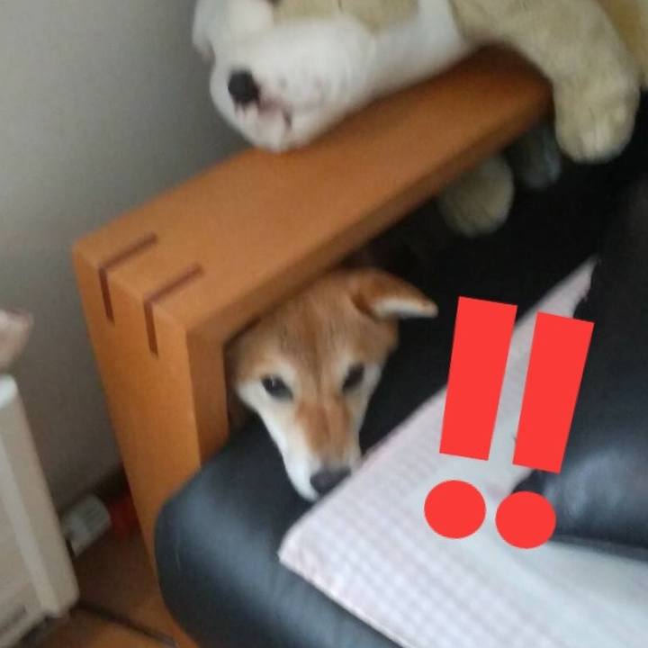 E975faba 8863 4e02 baee f7d50a005379 1533811313790