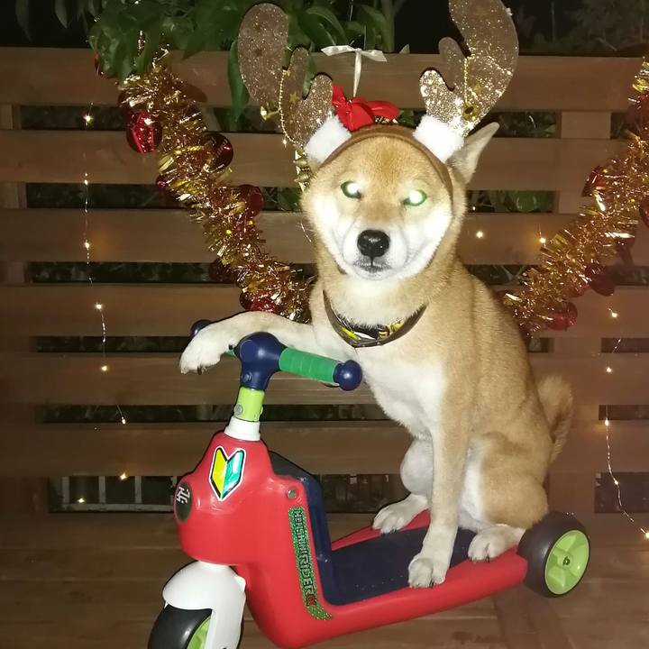 E9762486 1fda 4c90 ab32 8bdb66a15997 1608714569682