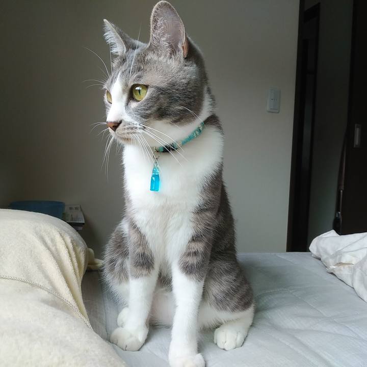 E97636fe df27 4336 8c5b 3ce633cb1479 1591052844805