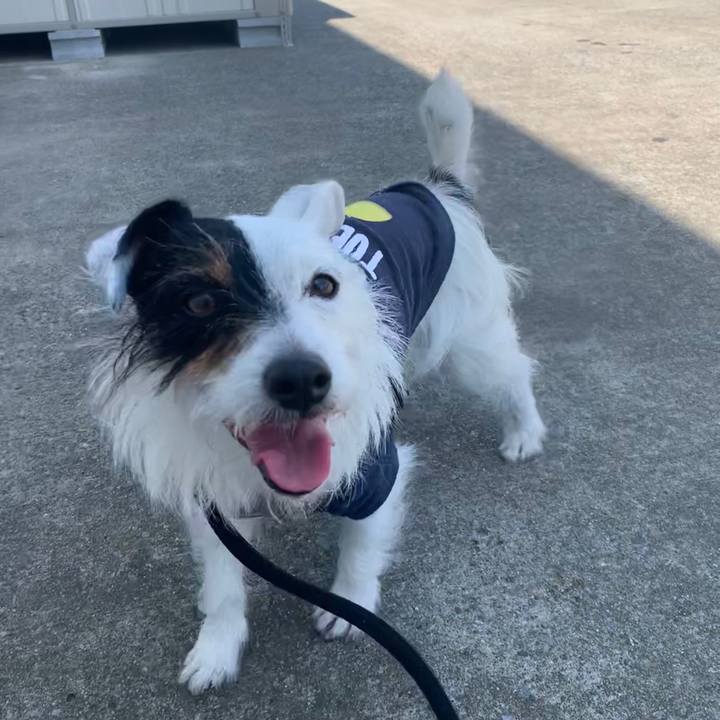 E9765613 a732 481c adc3 1814c3fd23d9 1590805475485