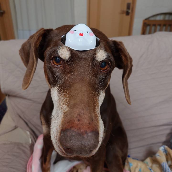 E9765cb9 a816 40ec 9e6d ce1e6b1c0b18 1772710888545