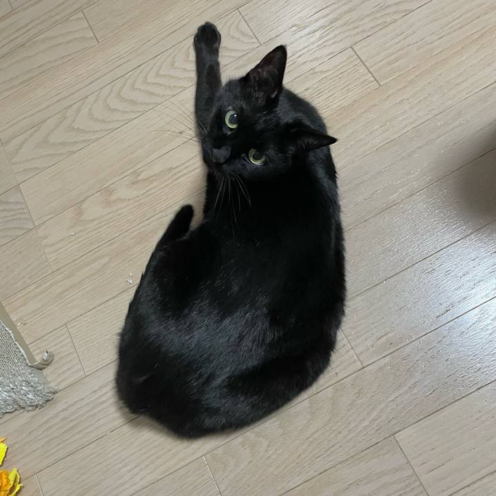 E976877b 443f 464e a597 399e41bb1ddc 1775037544674