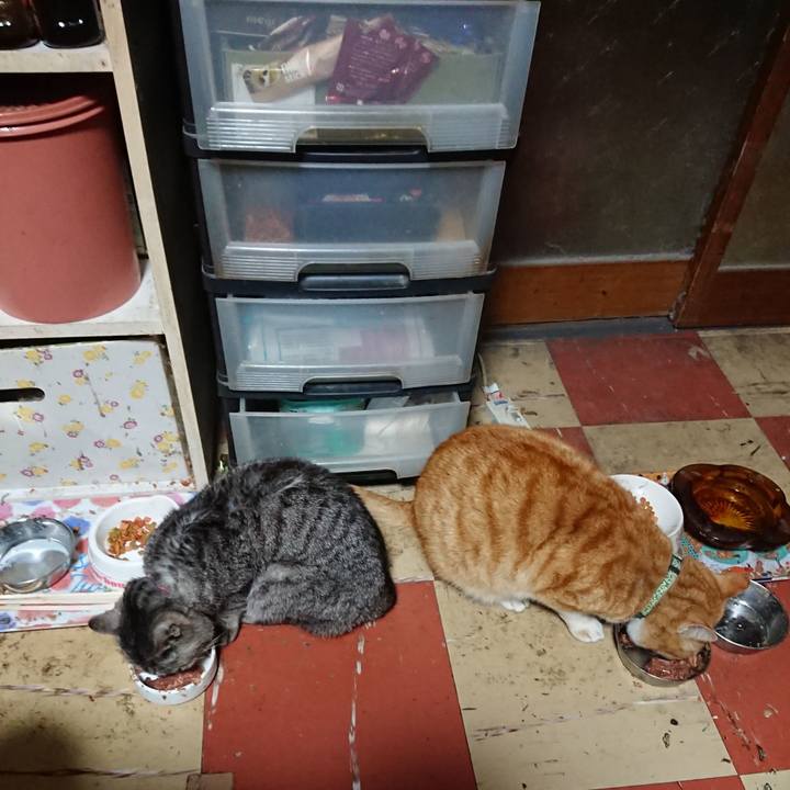 E976944f 7b7c 4b9d 9277 6352941ee520 1584821449349