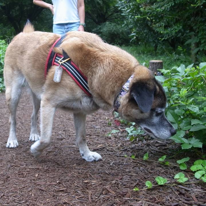 E976daa9 1527 4221 881b 583f71c46ac6 1611881155421