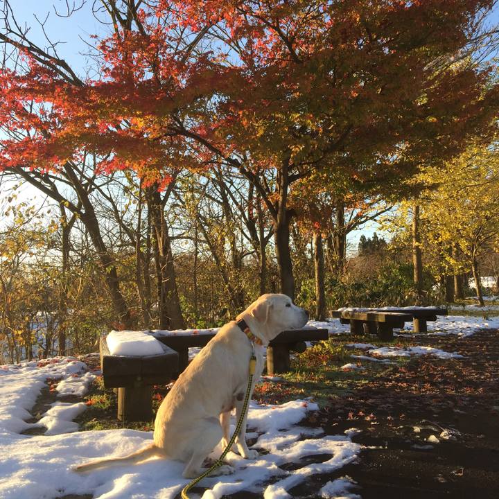 E976e40e d79c 4dc4 9397 d1da7cb1deb4 1512384603781