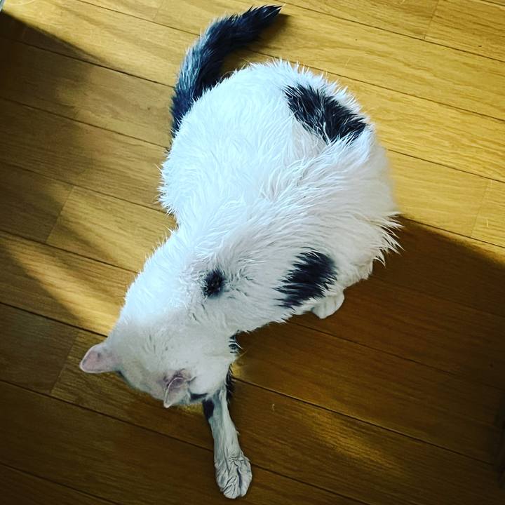 E976e8ee 074d 45a8 8865 699dad1176f5 1660118525428