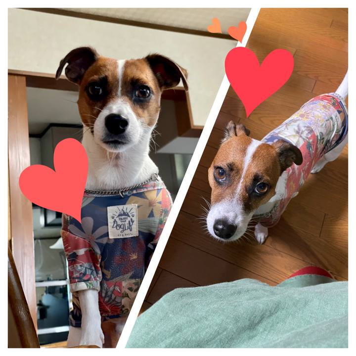 E977210b d590 4f23 8963 180354cbd745 1634030224953