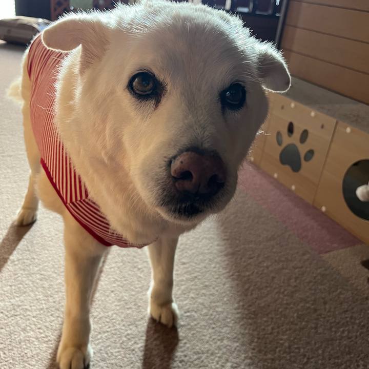 E9773a02 c57a 4c9d bec5 e914badea424 1762990266197