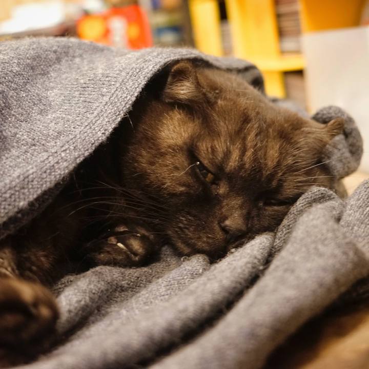 E9773c6b 261c 409c 832f 516660d0b25e 1612969728542