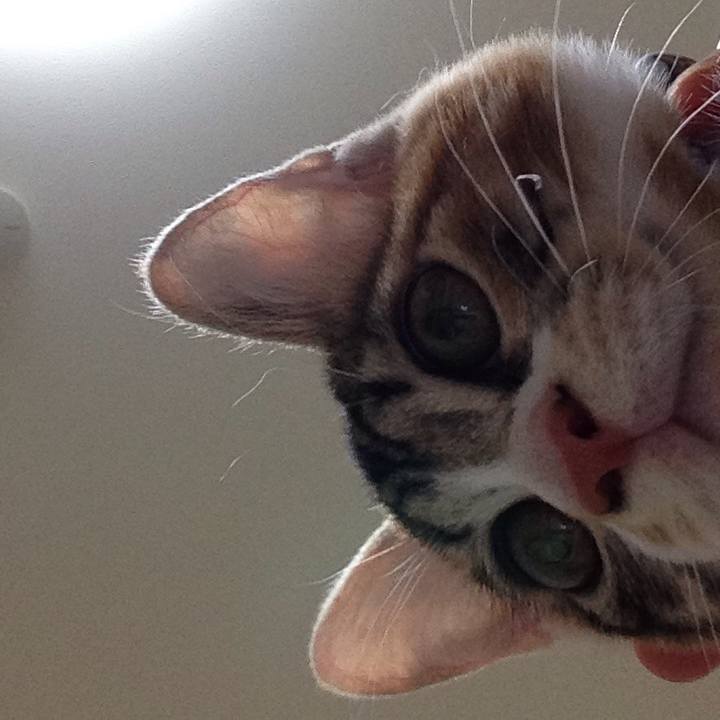 E97745df f28d 4179 90b8 a1c9b4a6db94 1628410520364