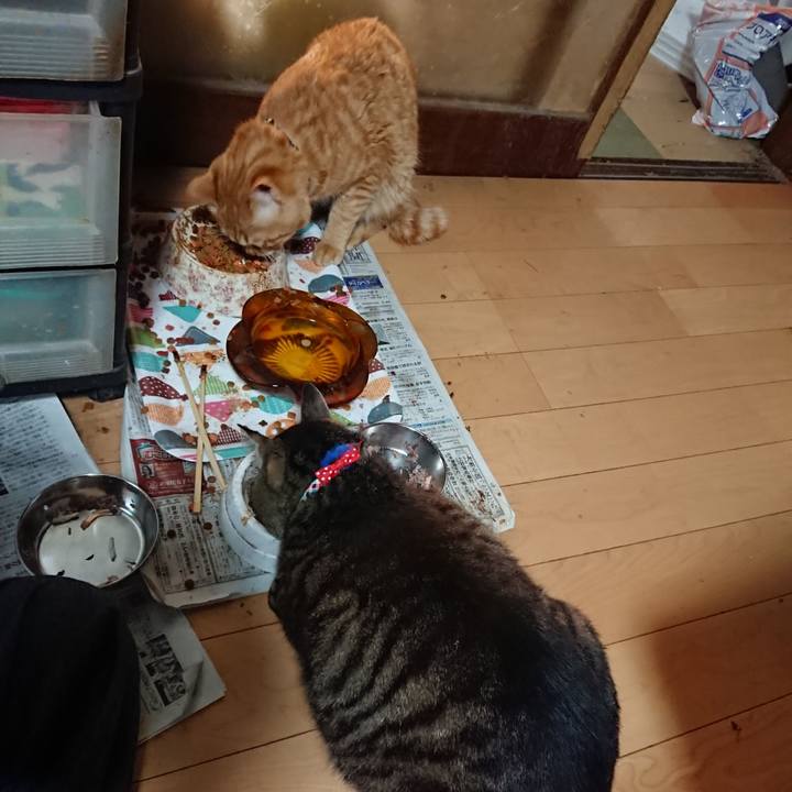 E9774d7e e1a4 42e0 acc9 7b4bfcf00b4f 1655588692475