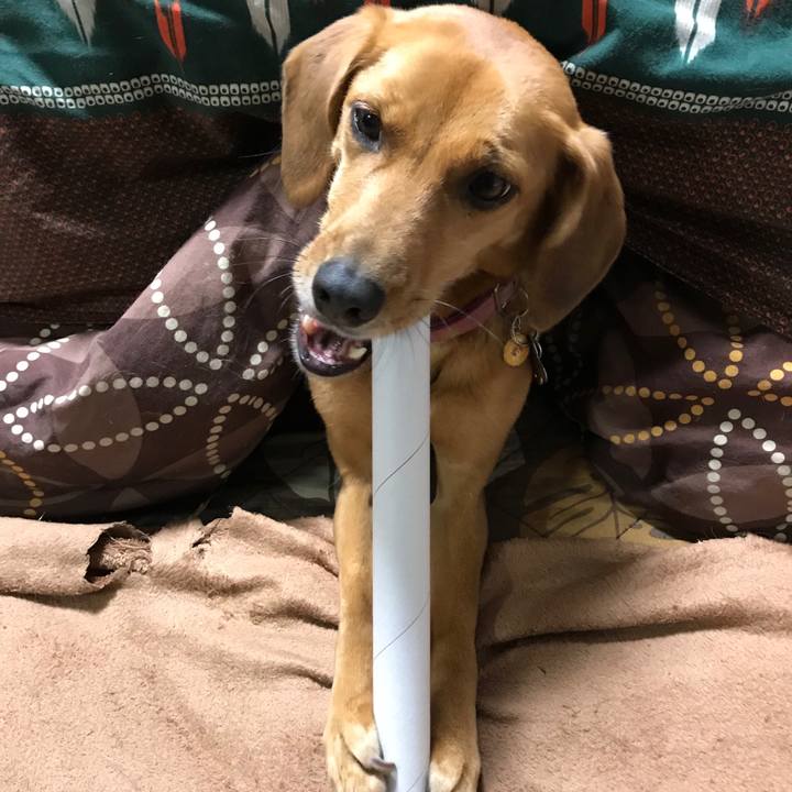 E977712b 16d2 486c a96f 86cb1e12475d 1548625623075