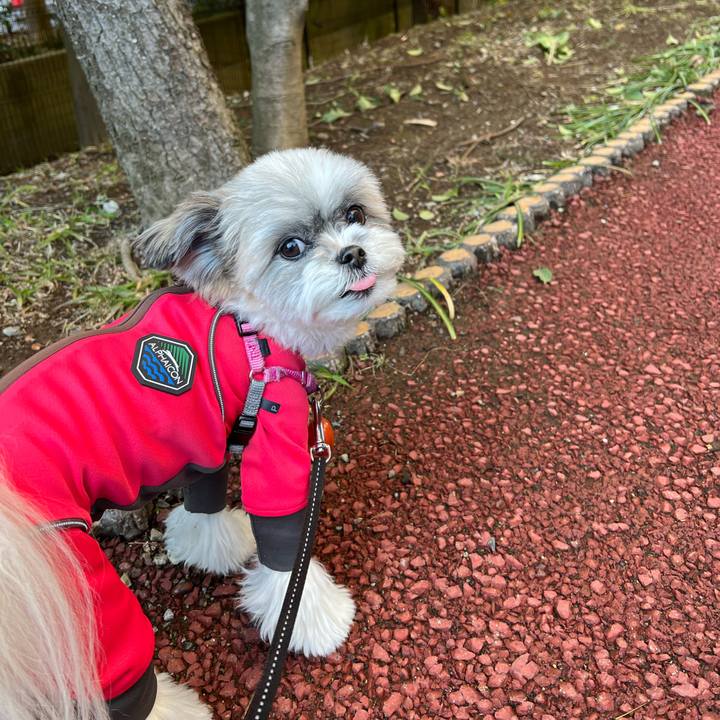 E97773db bb19 4763 8ed5 49f340b2323b 1644571185524