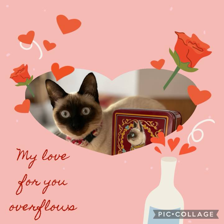 E977a4be 9c43 40fa a660 b38aedd85371 1707857737136