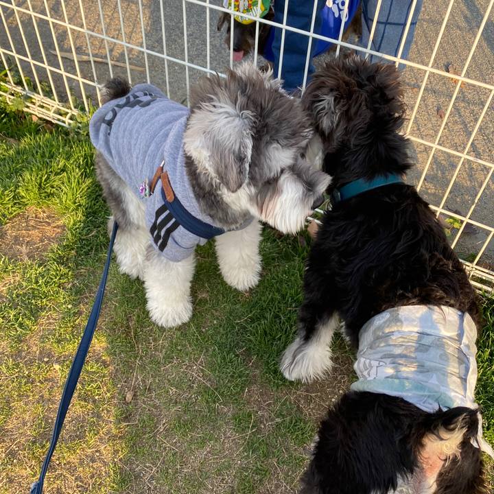 E977c92a 0ae1 4dbd 9b29 6fecbe15dc78 1580651675734