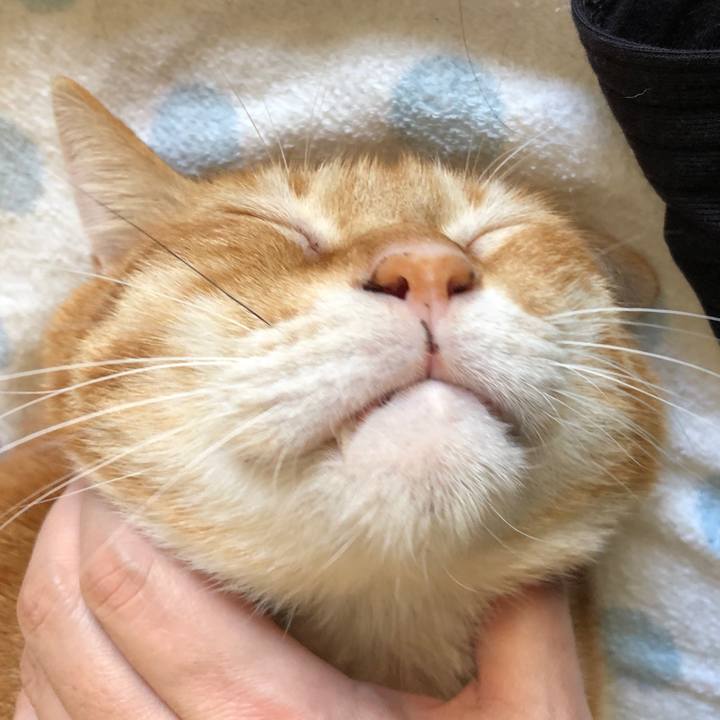 E977e906 e743 48c2 9859 90224990fba2 1569028929162