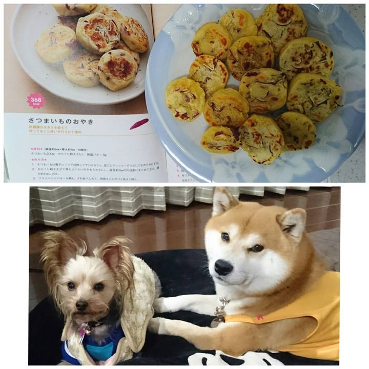 E97810fb 301e 4ffe a6a7 60c62f4ba839 1516938067562