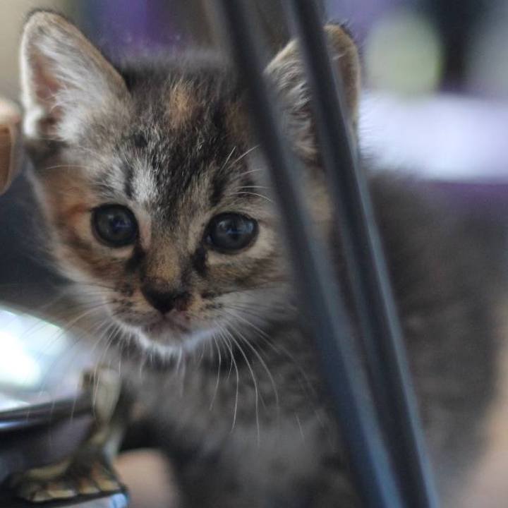 E9781571 5247 42c9 8989 eaa2db8d8cad 1583629339536