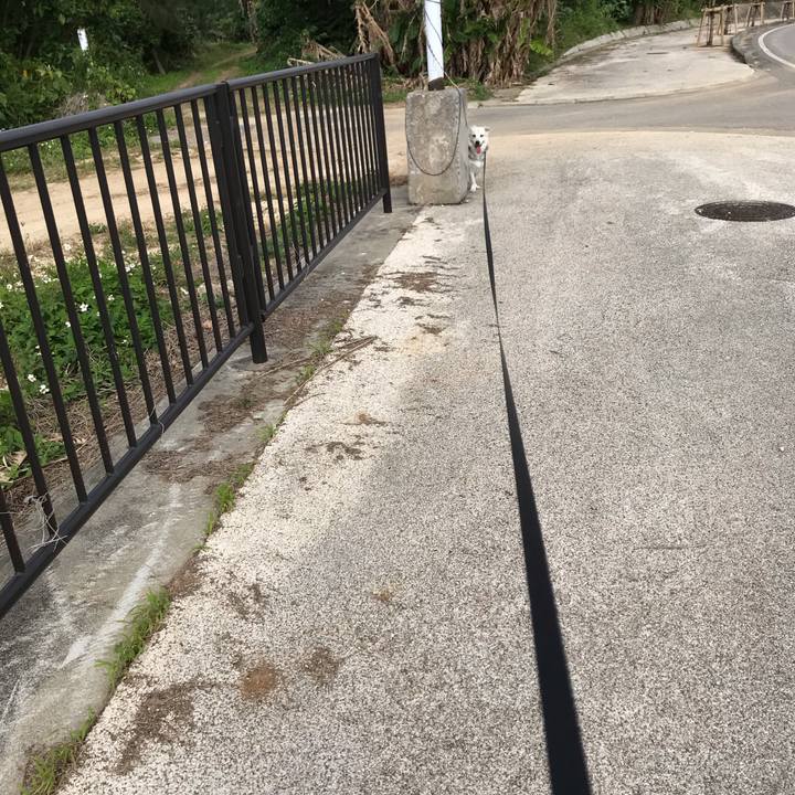 E97834f2 b519 4f62 b4b7 783d00178a07 1582469710968