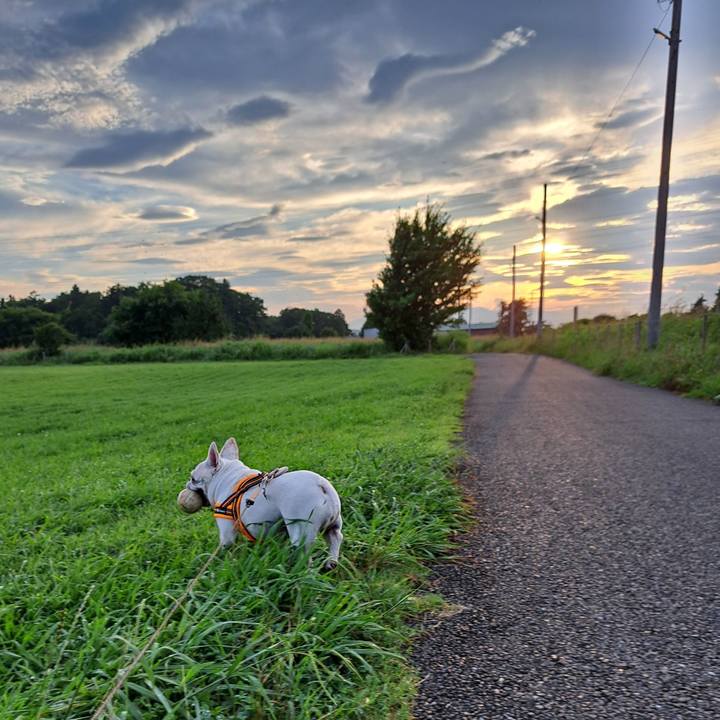 E9783680 9316 4f2f 8721 f1c180741f34 1721213580341