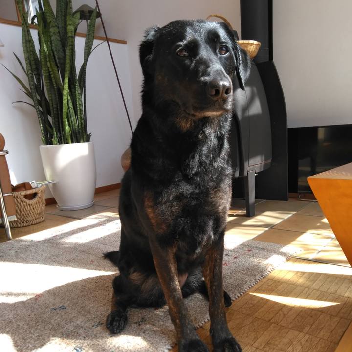 E97874b9 b37a 4834 b66e 58fa487955e0 1552441268140