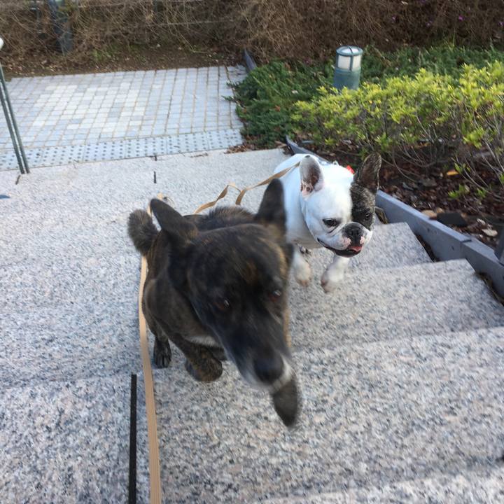 E9787703 c6a9 477e a487 20bd1501a87b 1552400363277