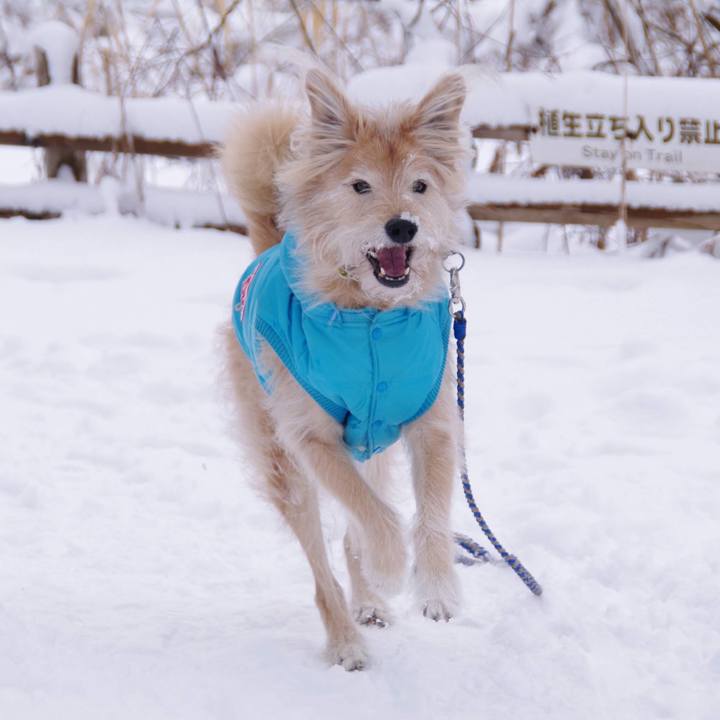 E97882dc be7d 4106 a98f 3fa05495be7f 1643162726168