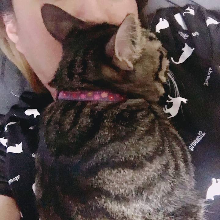 E9788bf9 56a5 42d0 9a0c 4f2f969e989e 1565428371290