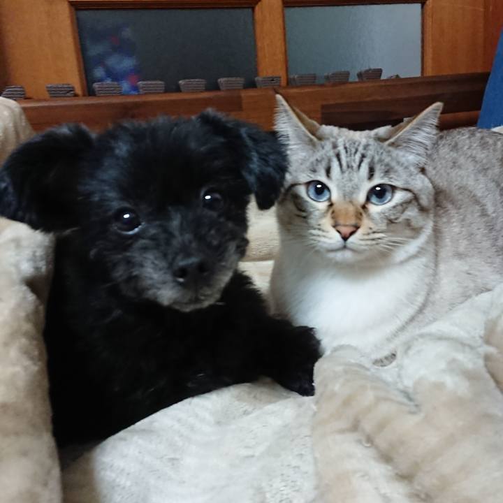 E9788ce9 a9a9 4ab5 aae9 2f399b610c13 1550493979271