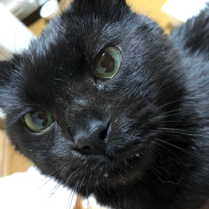 E9789a3c 2387 481a b13f e4bcfdd25b53 1612002628144