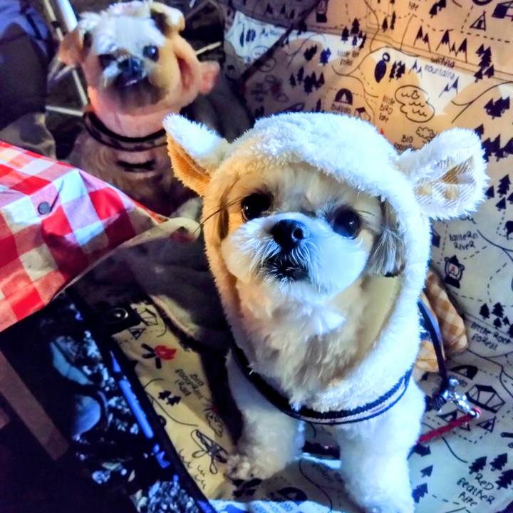 E978a8e3 8399 4683 9359 4db52669c36c 1729977662796