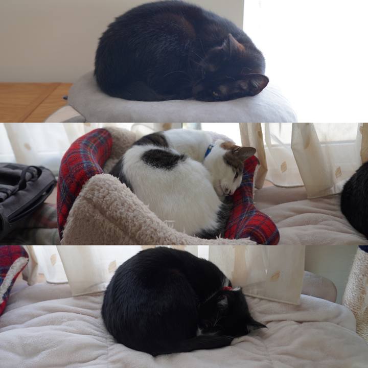 E978ac96 c569 4fb7 92f2 082c5add18b0 1612789542841