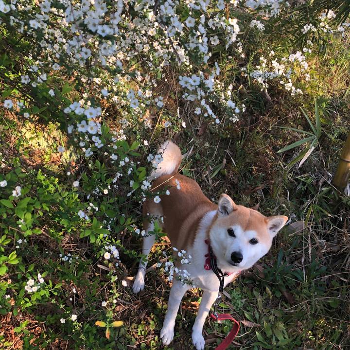 E978ad30 cd44 4fc0 bdde 36aa4ab3970c 1584233997524