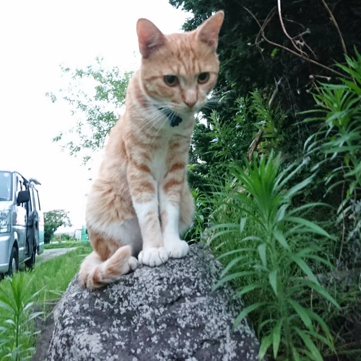 E978ad60 df5d 4aad 8bac 5b24833e1f8a 1563708353854