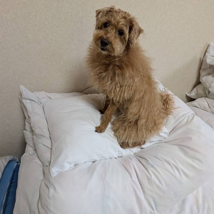 E978c2f8 5b43 4e48 86e4 edbc5b238a79 1725176629332