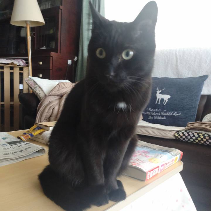 E978d26b a84b 4bd1 a317 42fbaf1b46bc 1714434531277