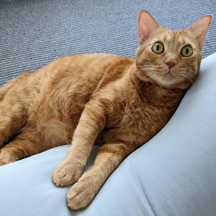 E9791222 18f0 4d77 8844 99e4e5491f7c 1664405165877