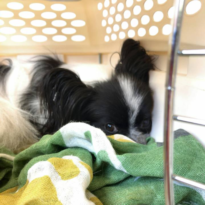 E97924c4 df16 453f a990 cf5e1ac294d2 1530416060453