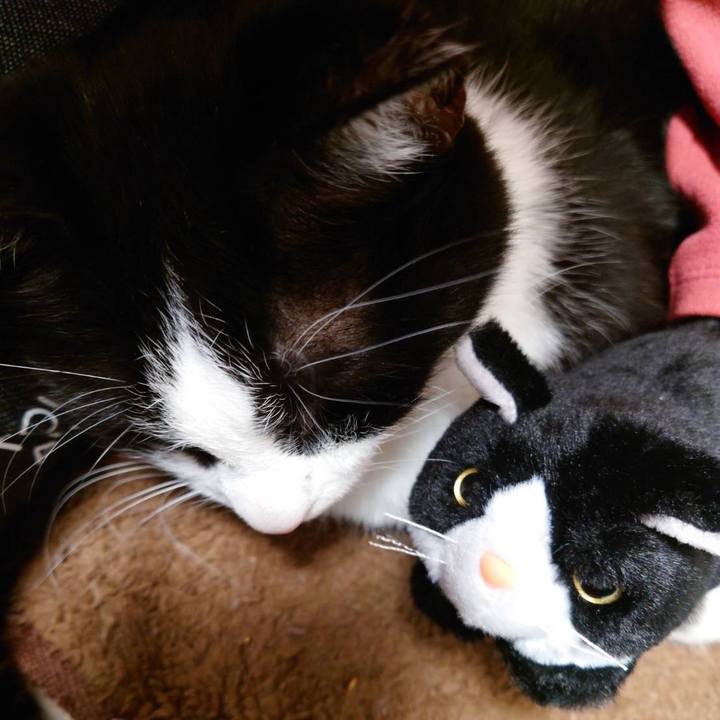 E9794ddc e0e1 4ef2 b5d2 77af7d35efed 1738159081983